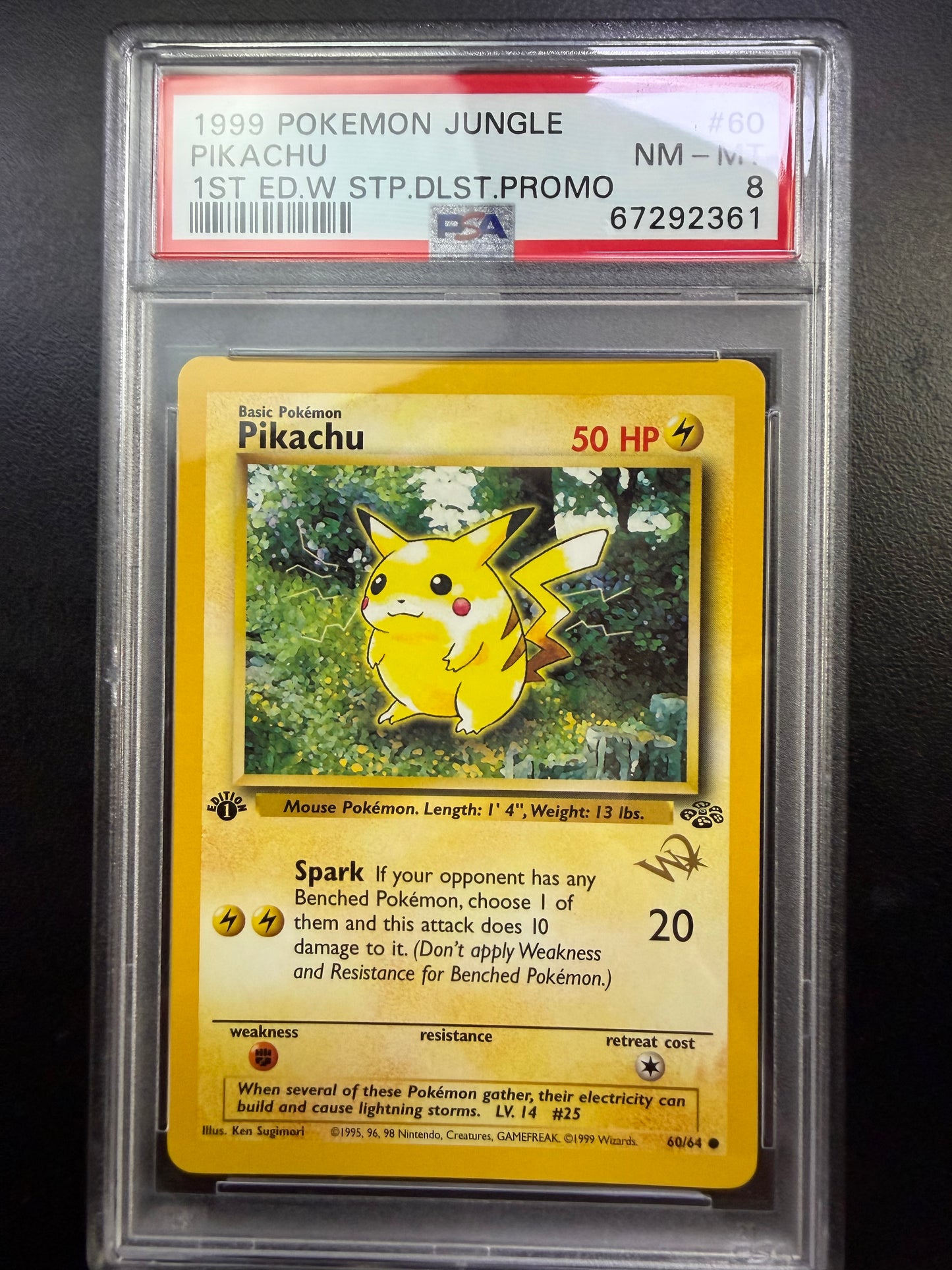 1st Edition W Pika 8