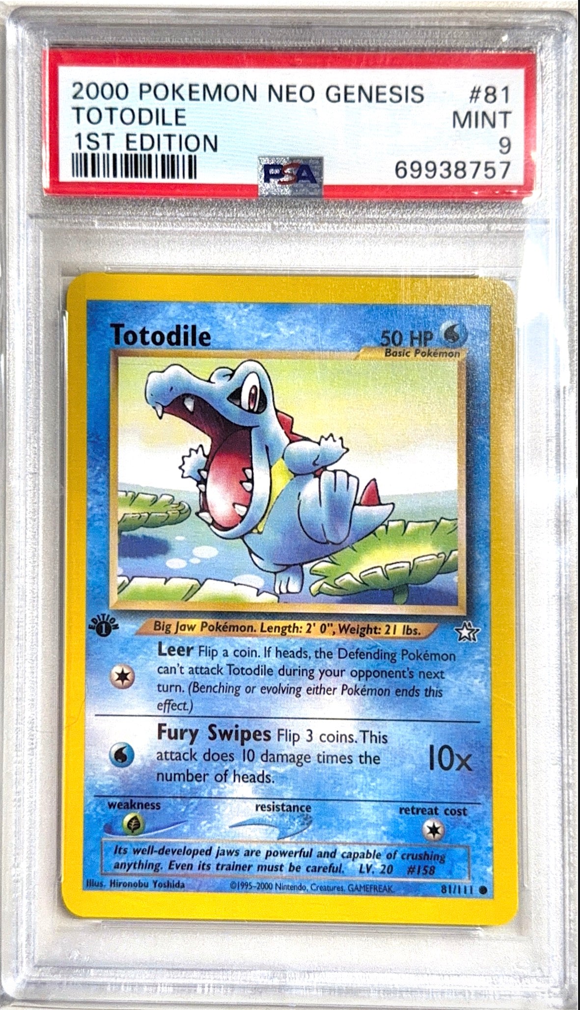 NG Toto 9 (69938757)