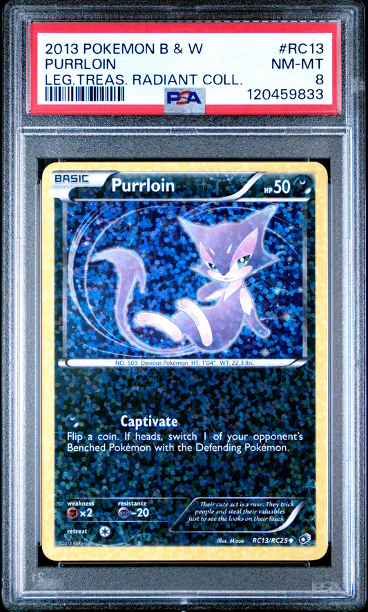 LT Radiant Coll. Purr 8