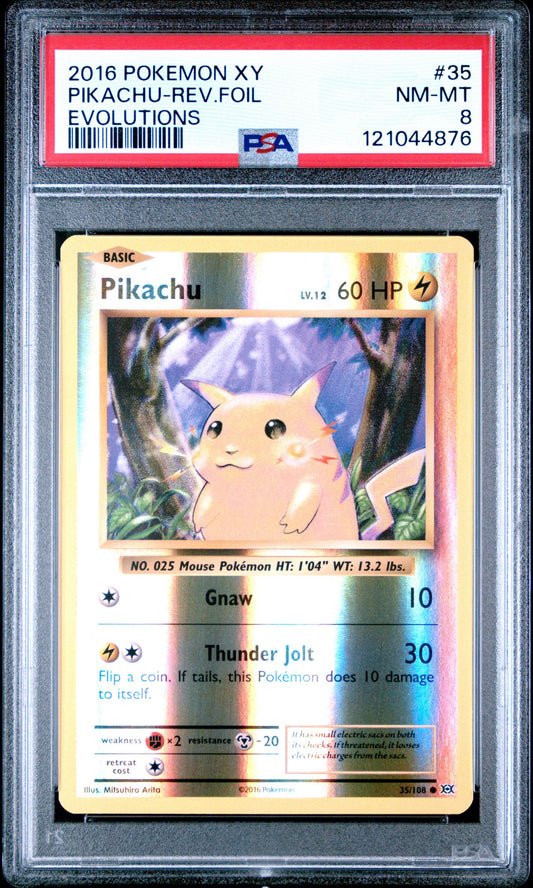 Rev. Foil Evo Pika 8