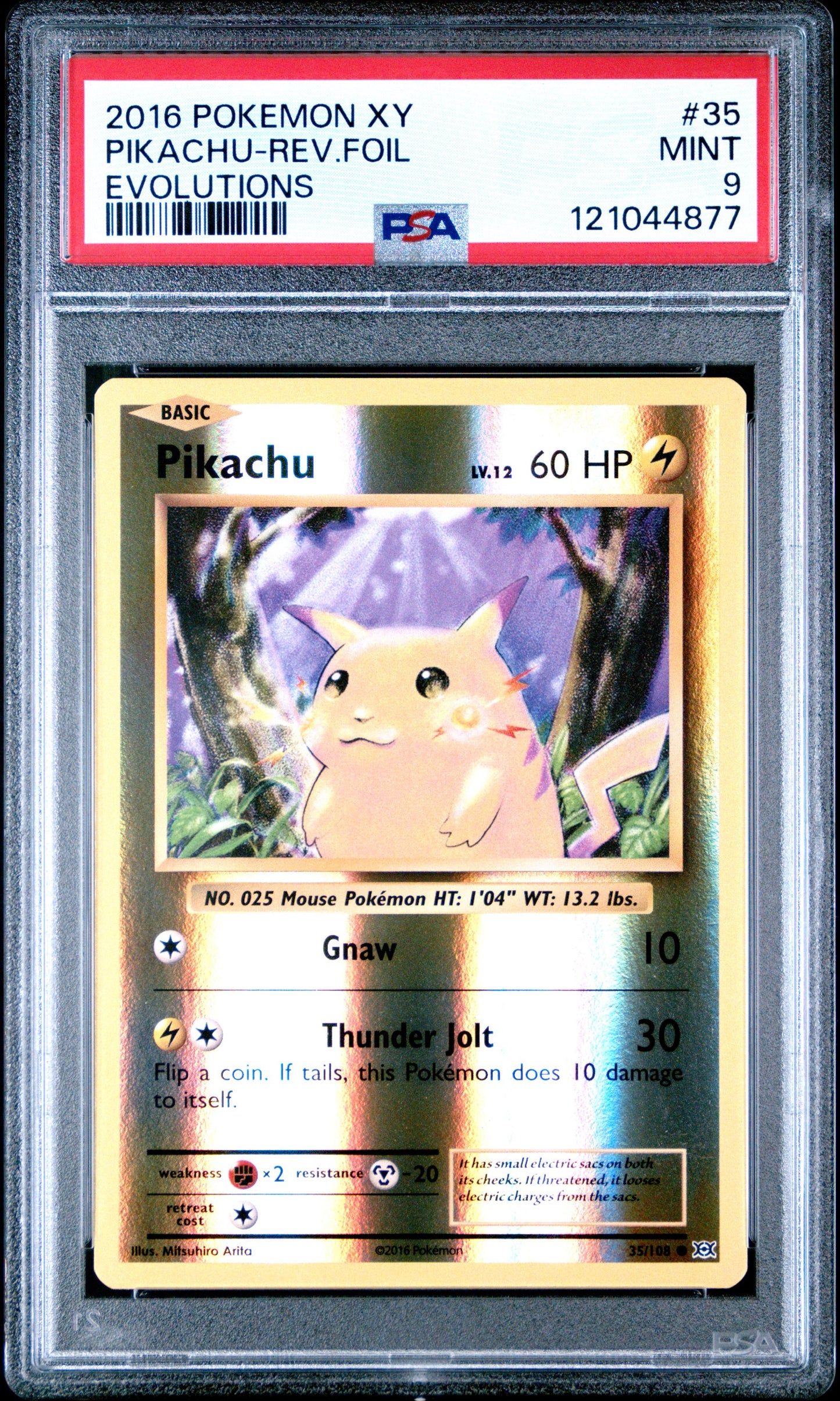 EVO Rev Foil Pika 9