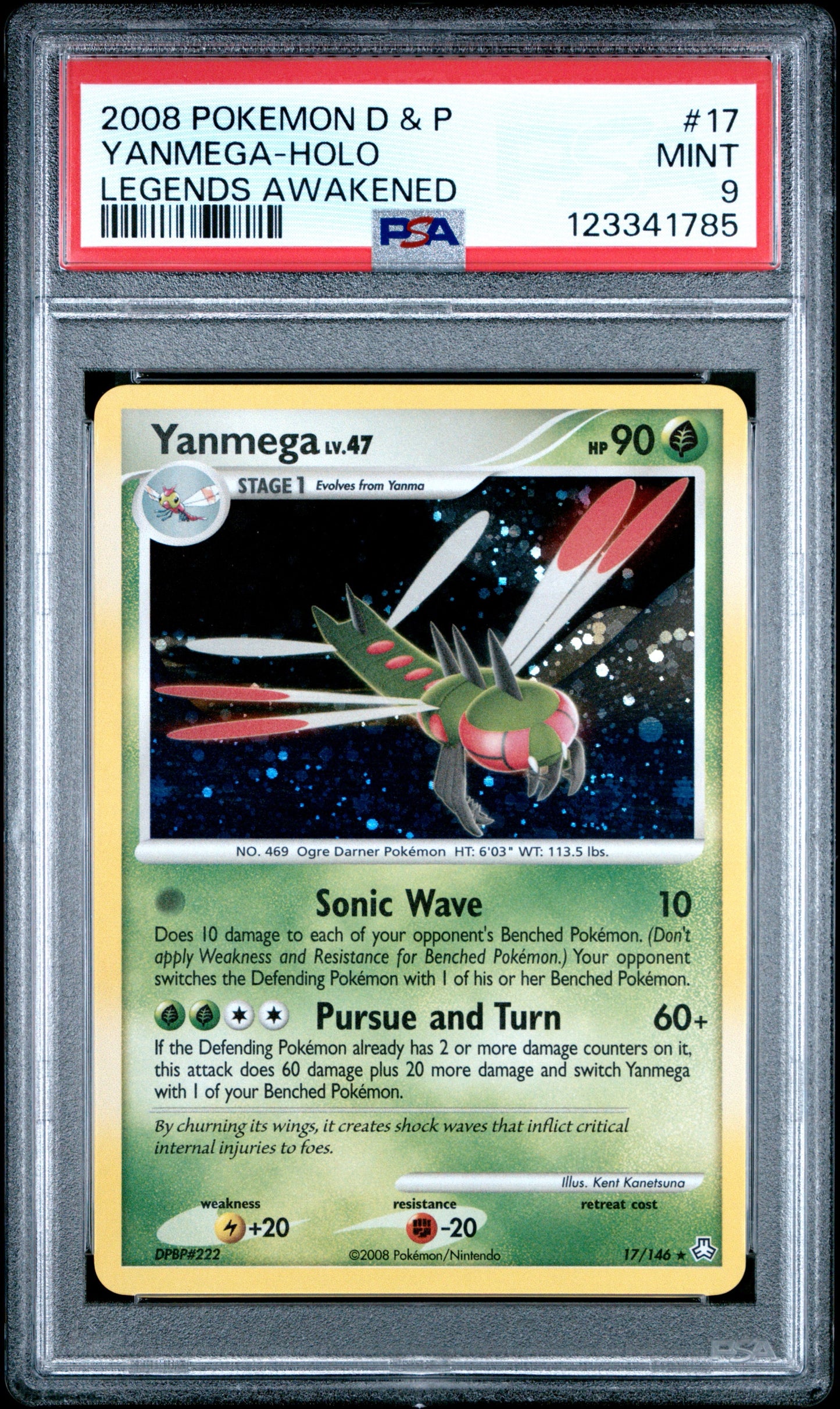 LA Yan Holo 9