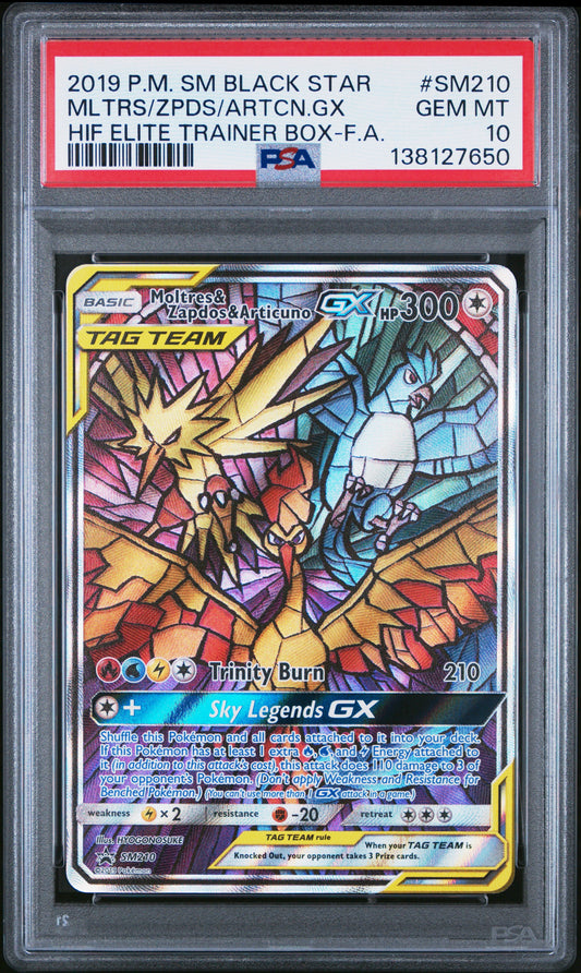 HF Molt/Zap/Art 10 (138127650)