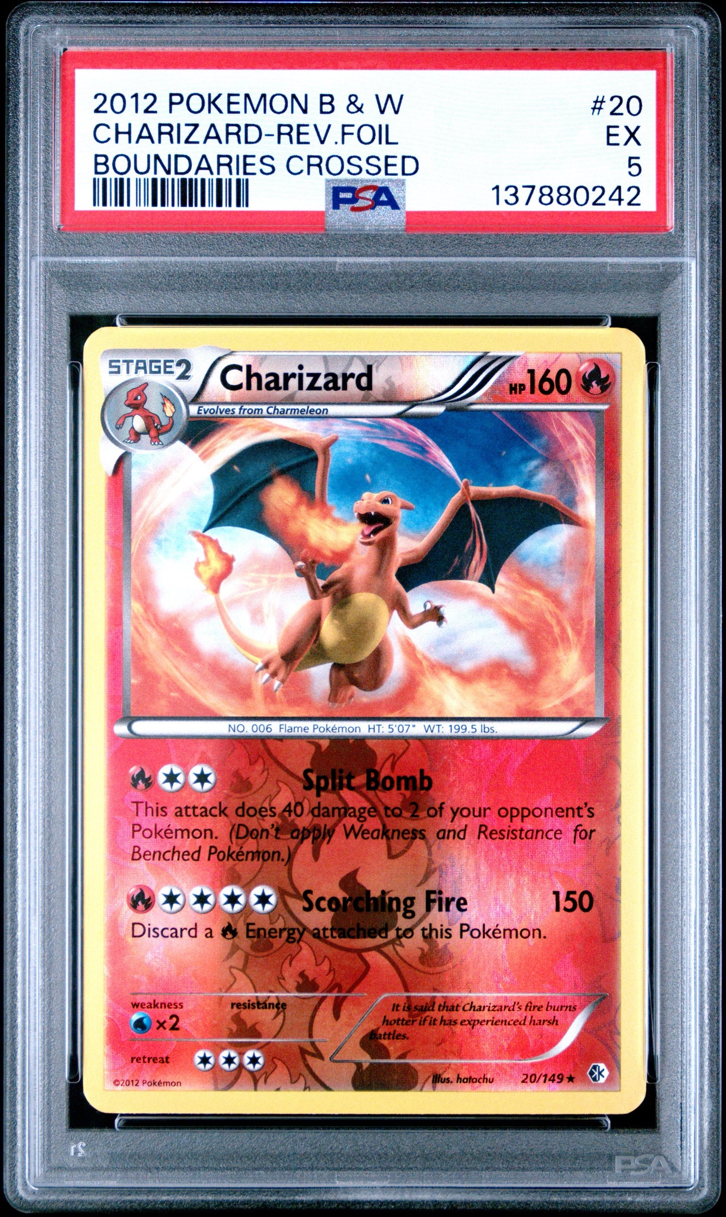BC Rev. Foil Zard 5 (137880242)