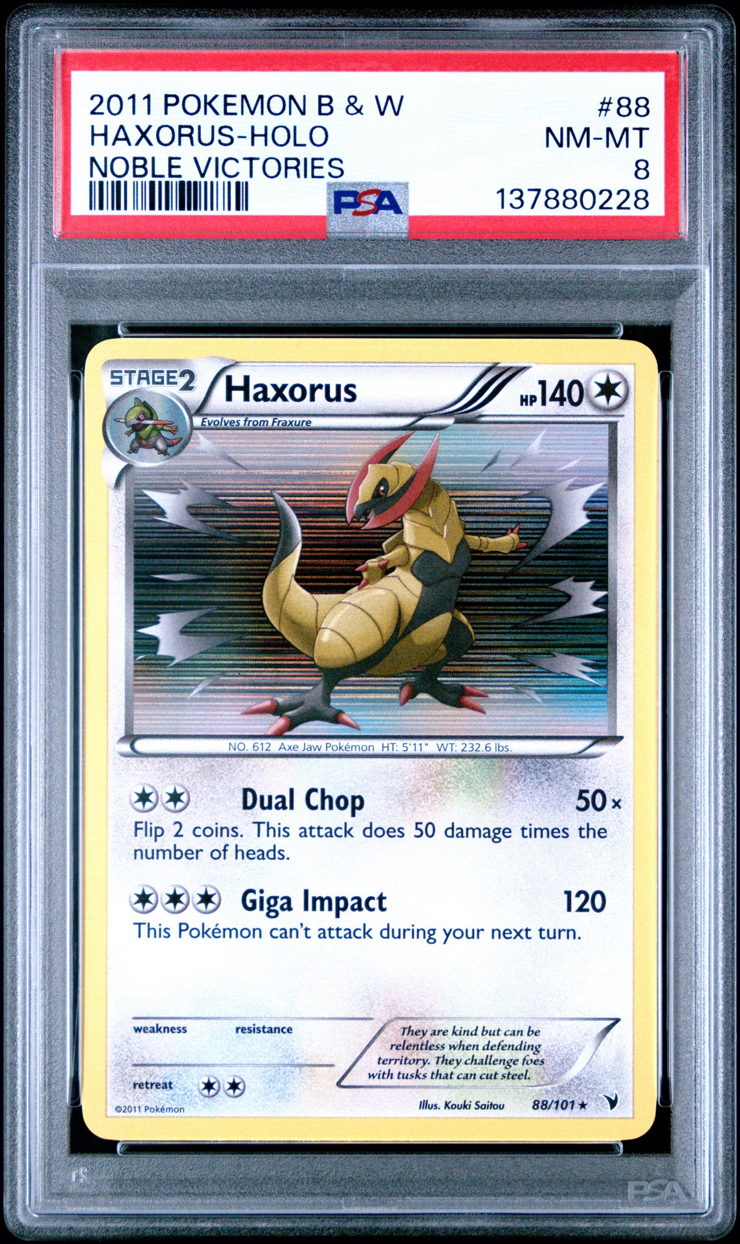 NV Hax Holo 8 (137880228)