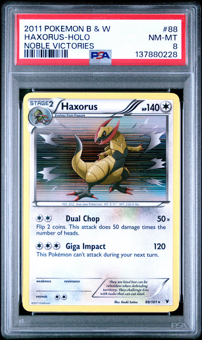 NV Hax Holo 8 (137880228)