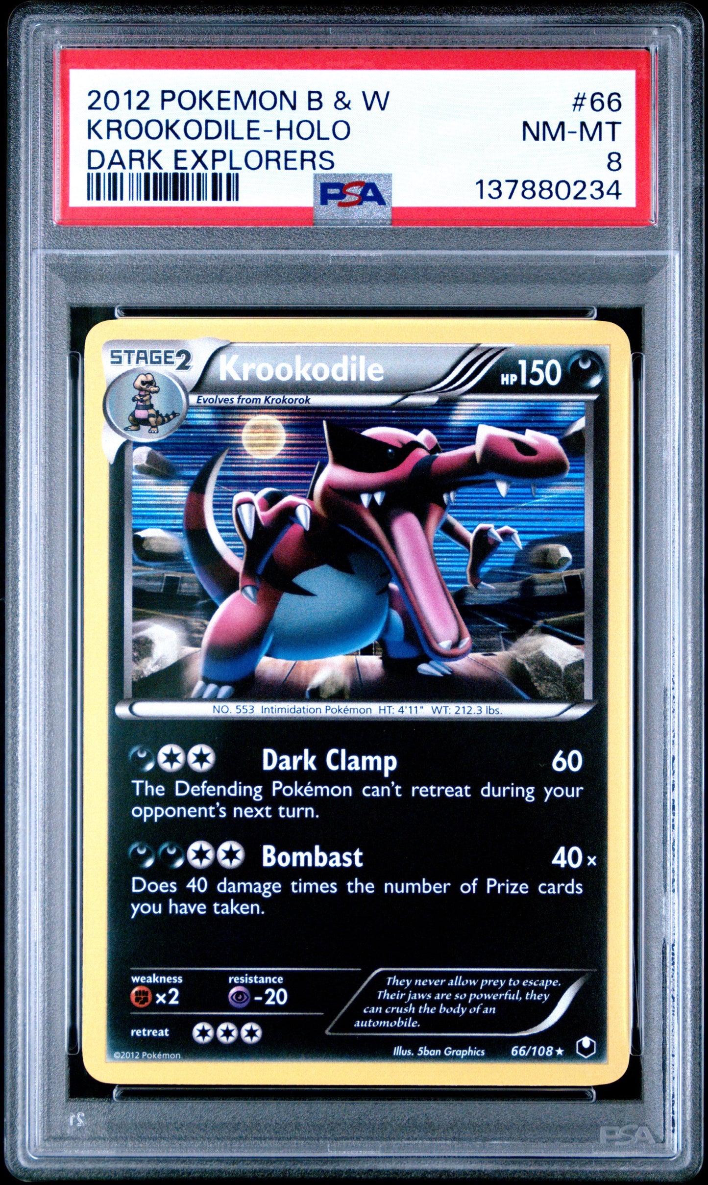 DE Krook Holo 8 (137880234)