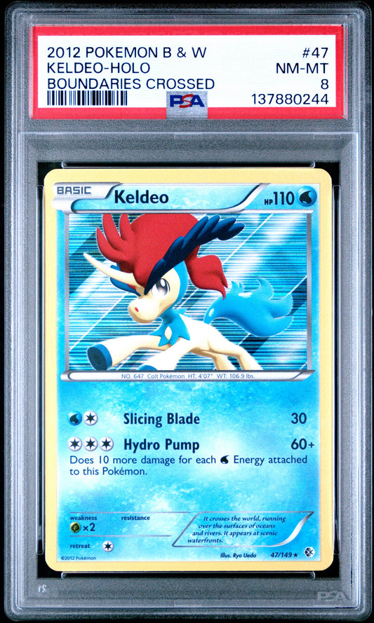 BC Keld Holo 8 (137880244)