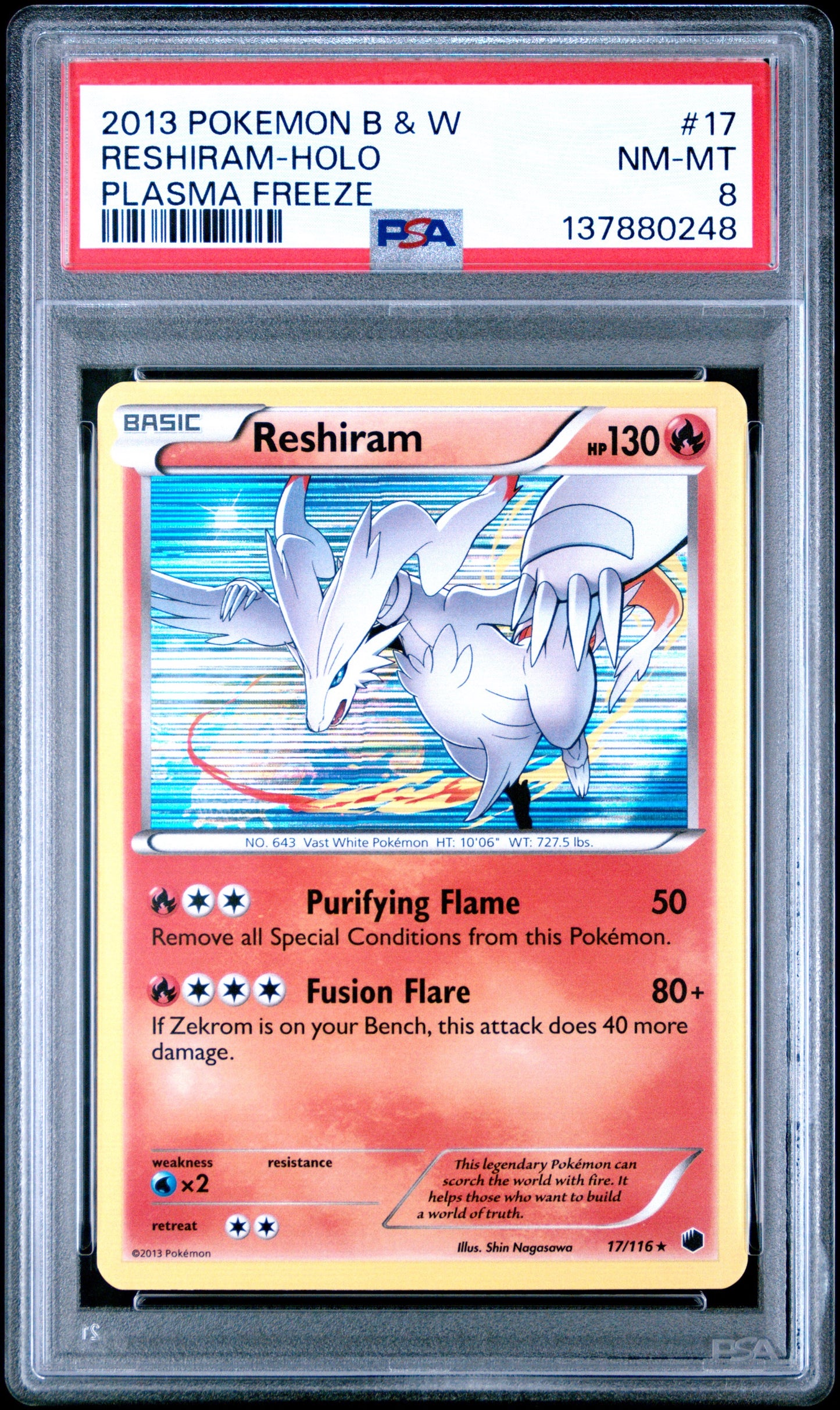 PF Resh Holo 8 (137880248)