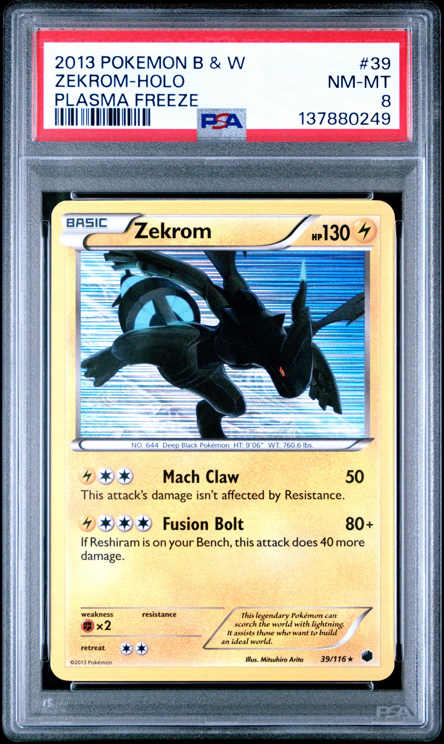PF Zek Holo 8 (137880249)