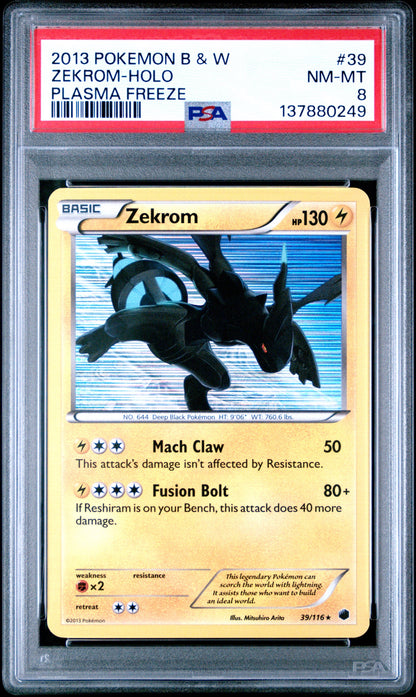 PF Zek Holo 8 (137880249)