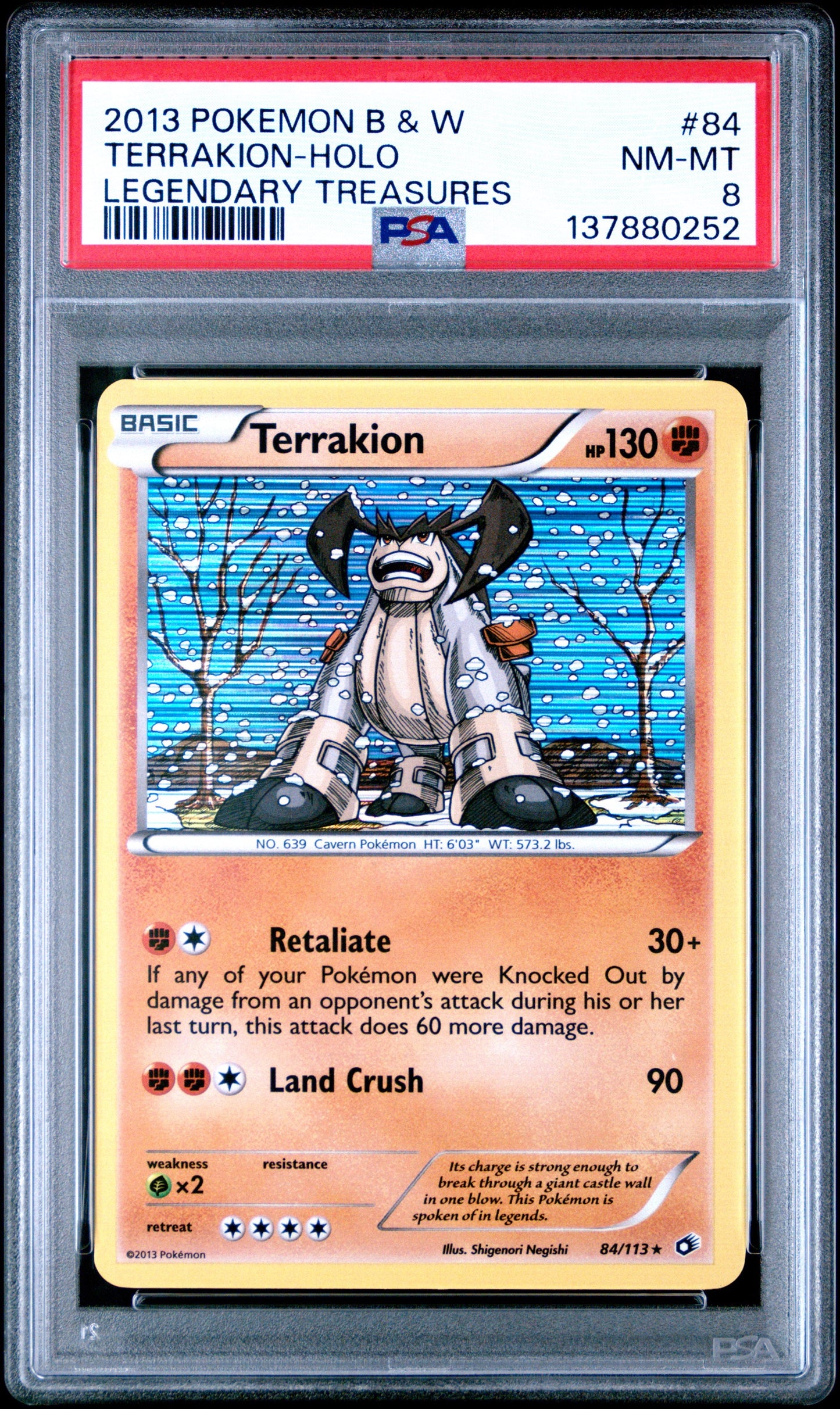 LT Terra Holo 8 (137880252)