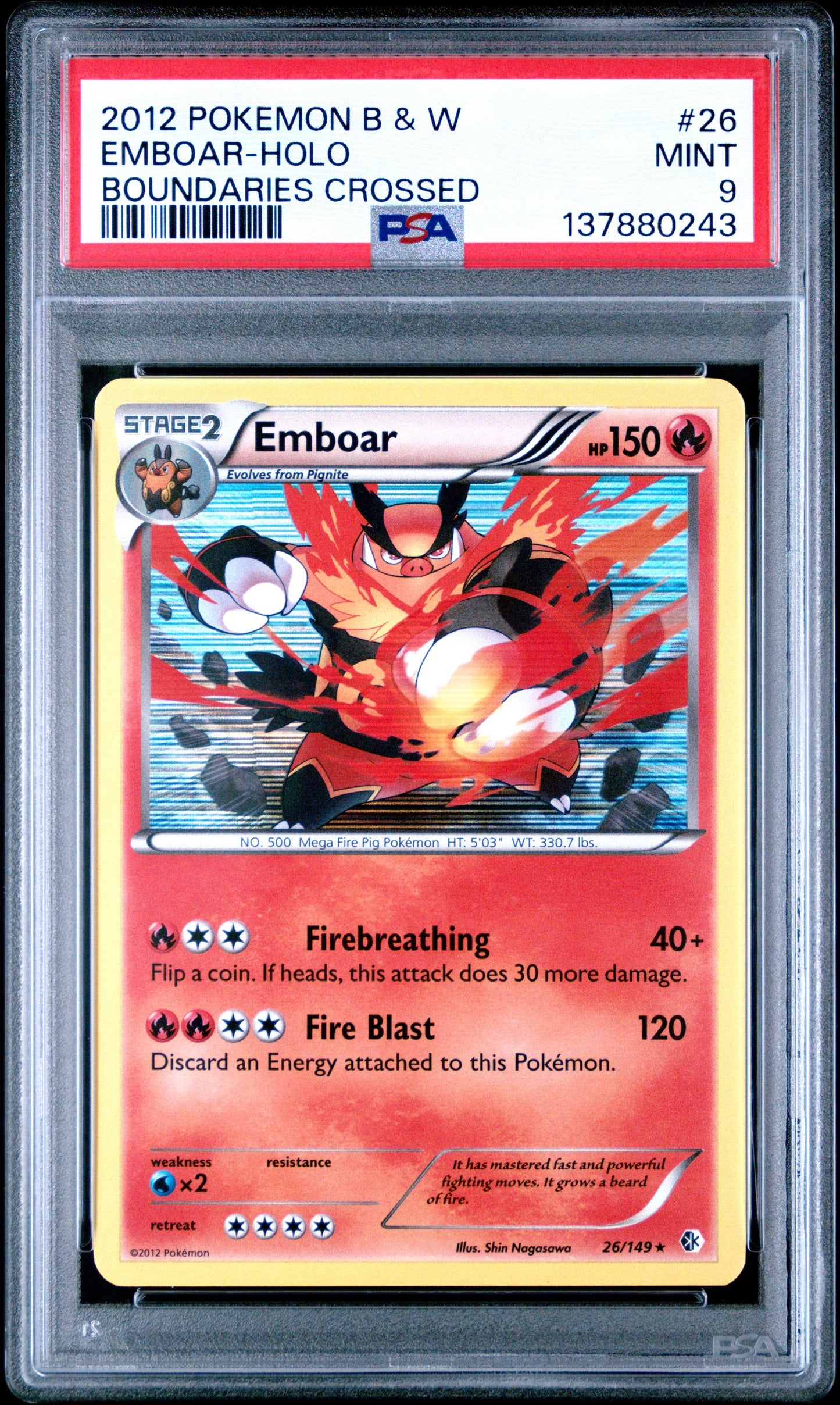 BC Embo Holo 9 (137880243)