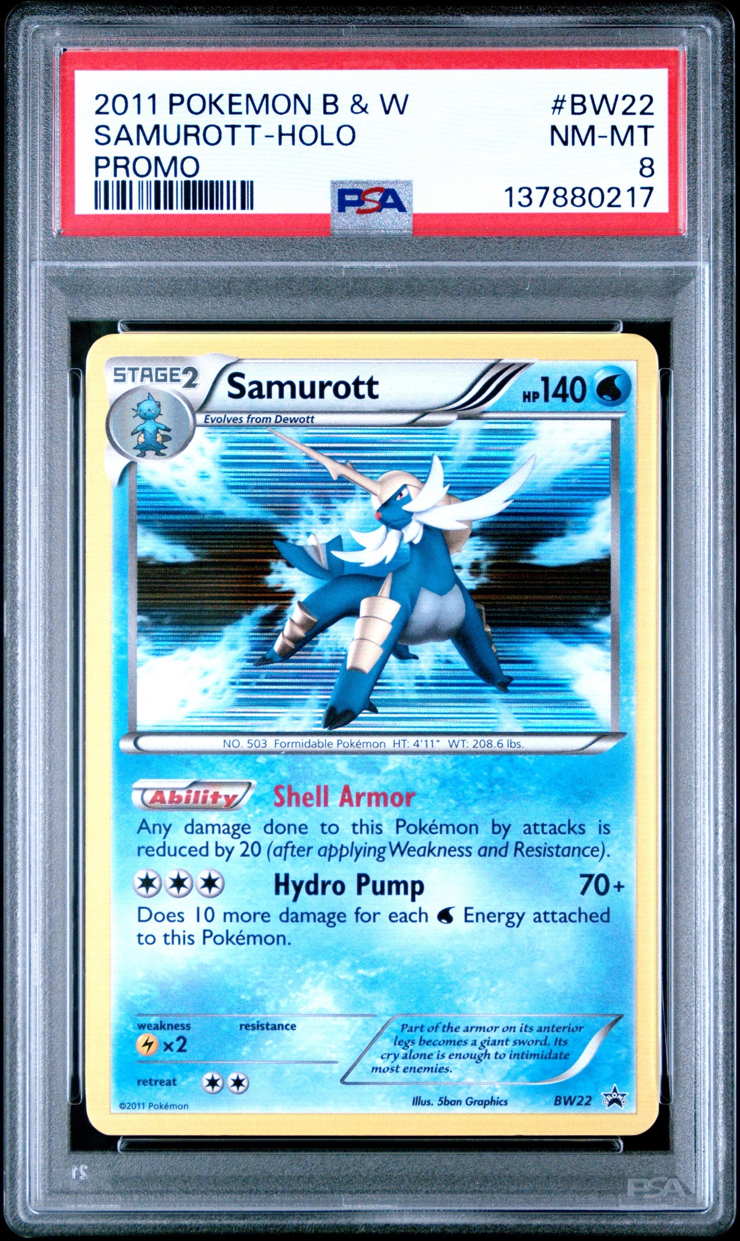 Samu Holo 8 #BW22 (137880217)
