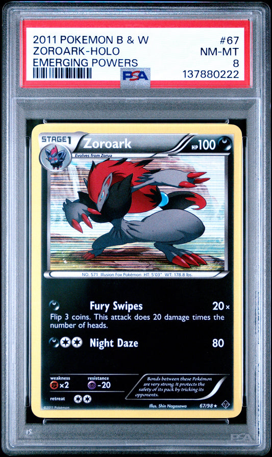 EP Zoro Holo 8 (137880222)