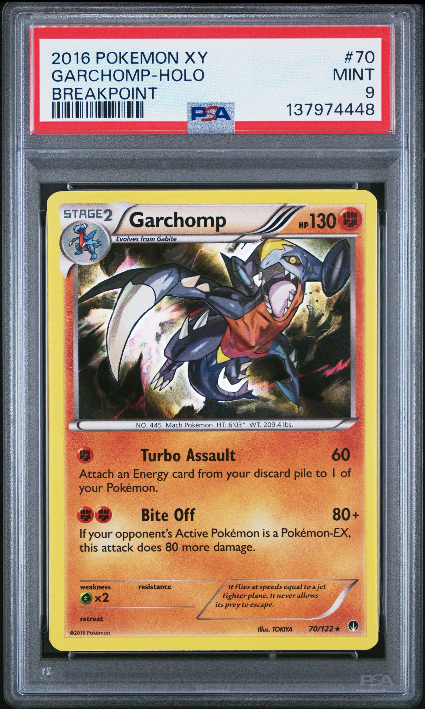 BP Chomp Holo 9 (137974448)