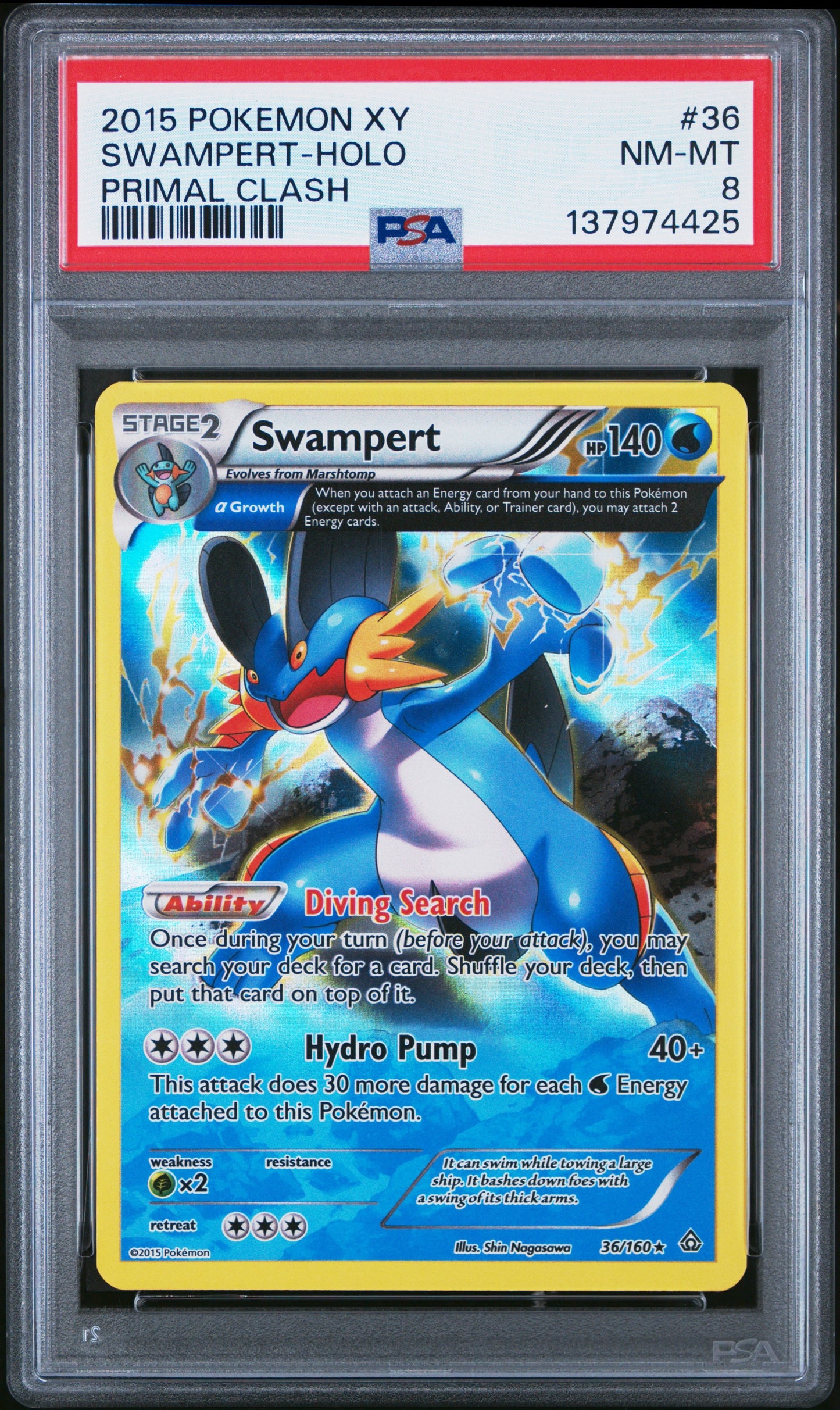 PC Swamp Holo 8 (137974425)
