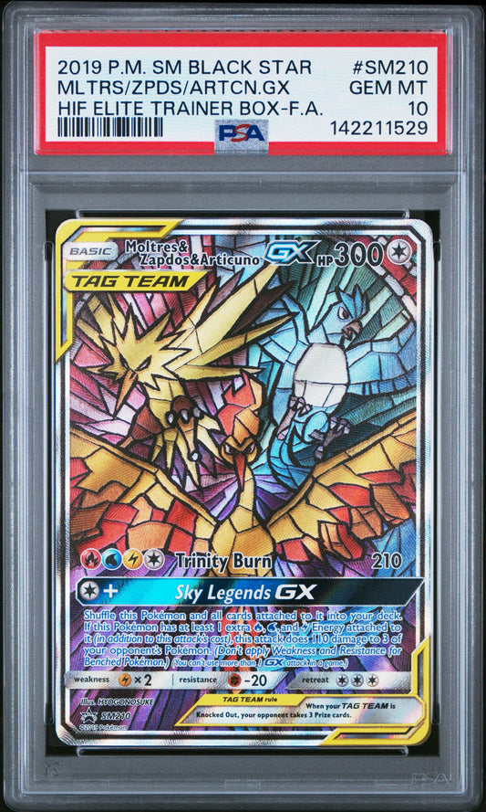 #SM210 HF ML/ZP/ART 10 (142211529)