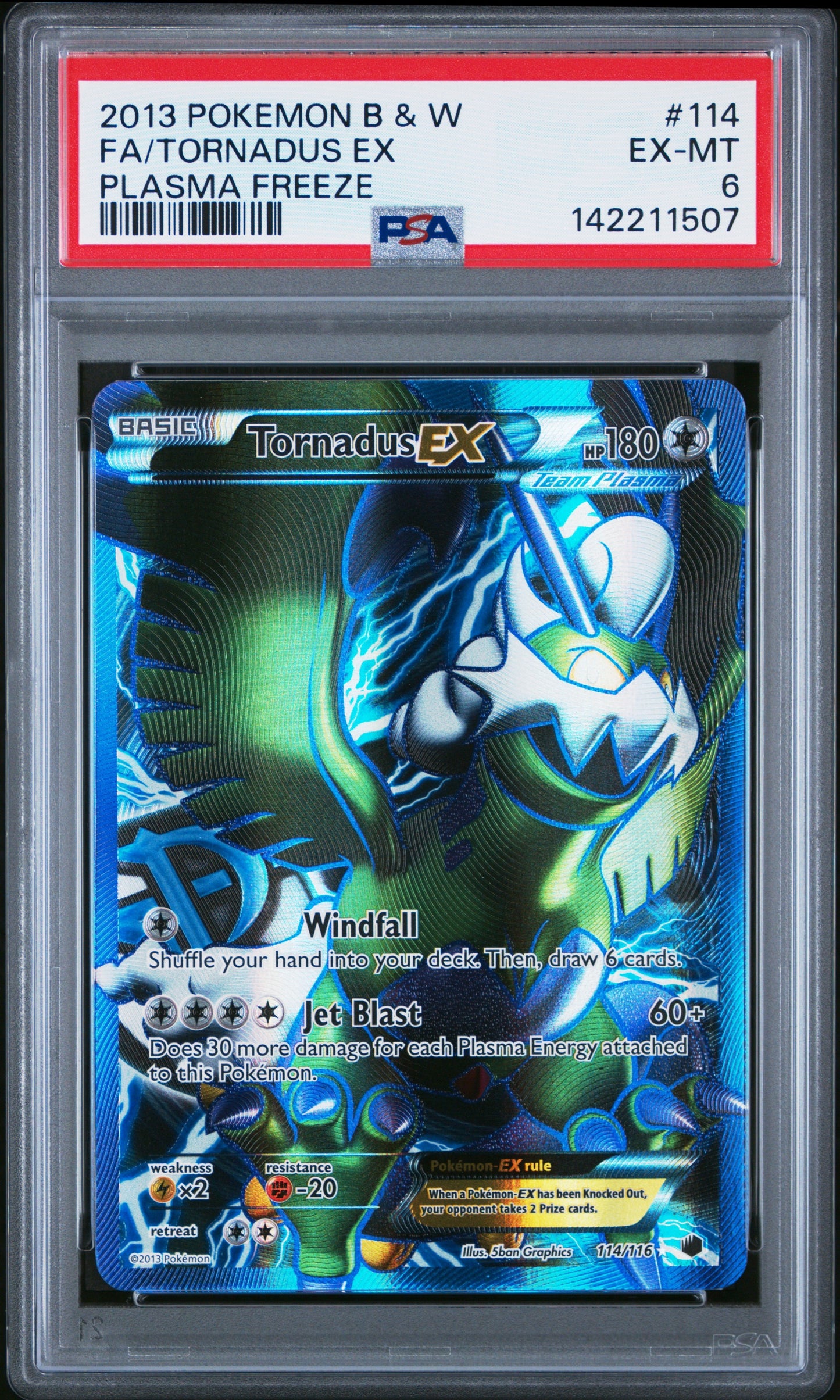 PF F/A Torn EX 6 (142211507)