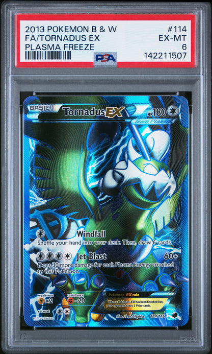 PF F/A Torn EX 6 (142211507)