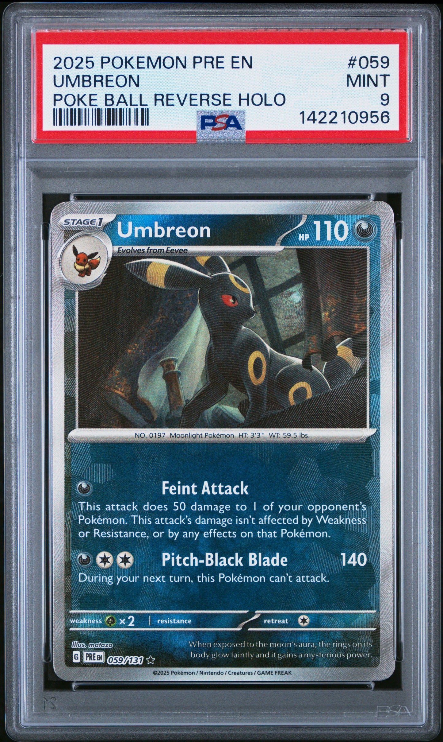 PE Umb 9(142210956)
