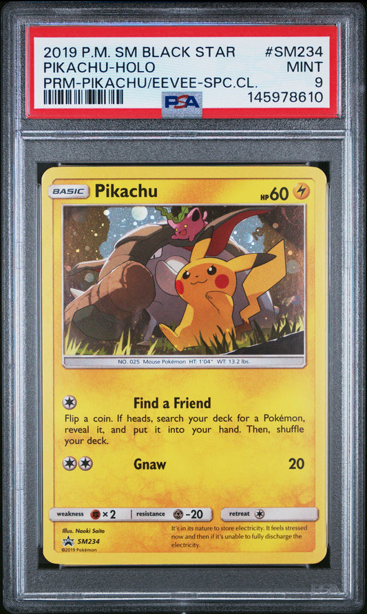 #SM234 Pika Holo 9 (145978610)