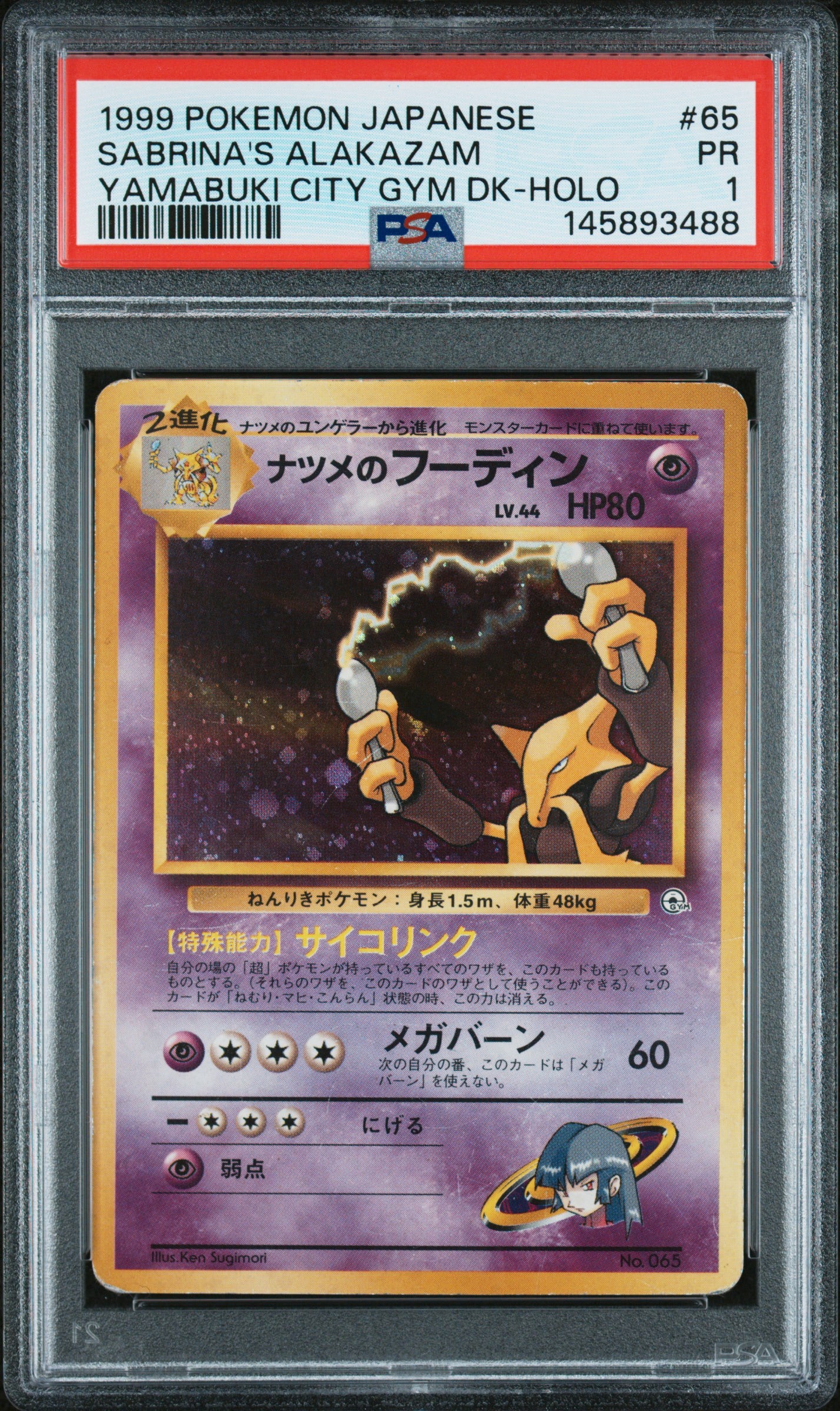 JP. Sabrina’s Ala Holo 1 (145893488)
