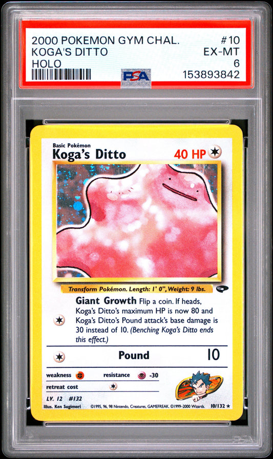 GC Kog’s Dit 6 (153893842)