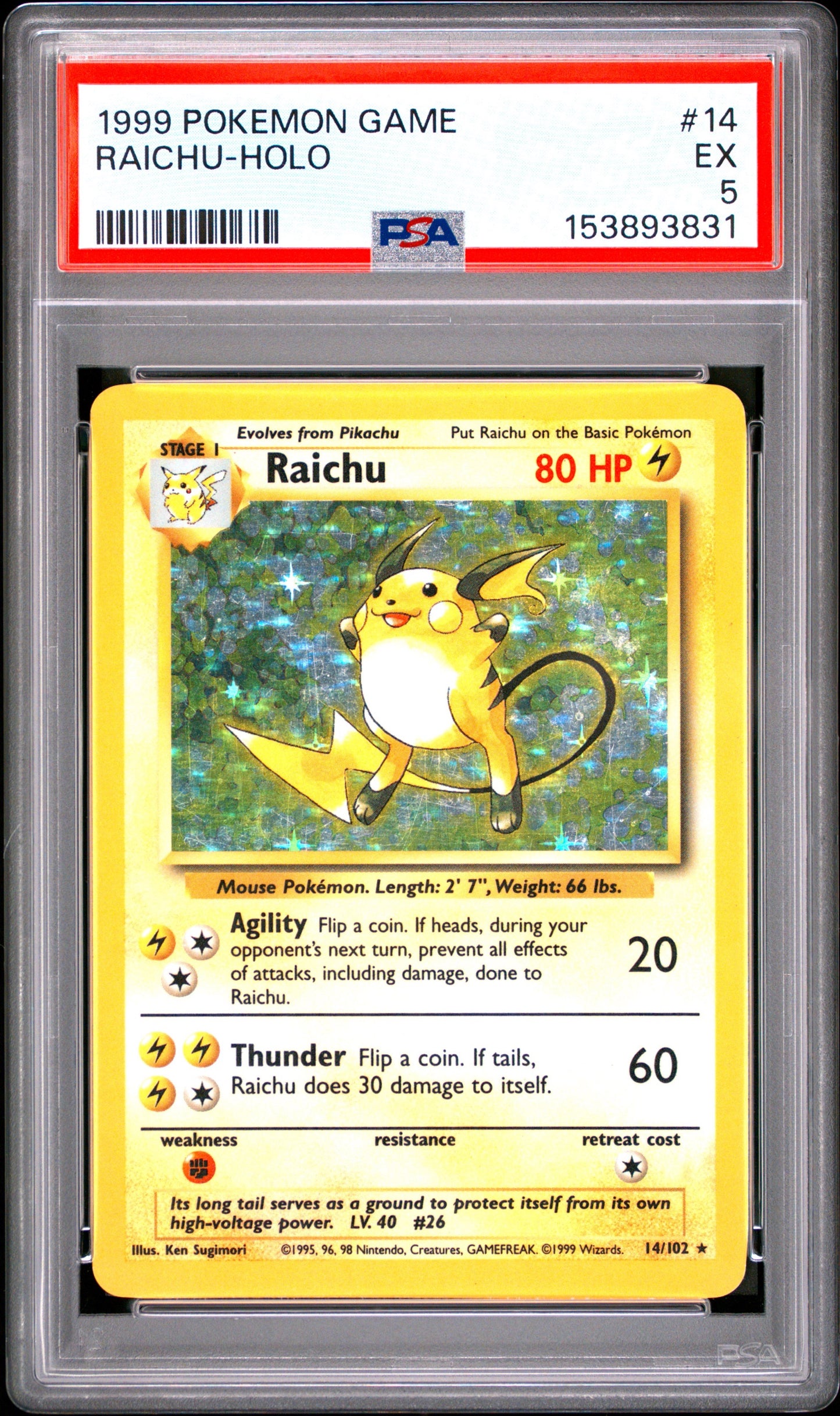 Rai Holo 5 (153893831)