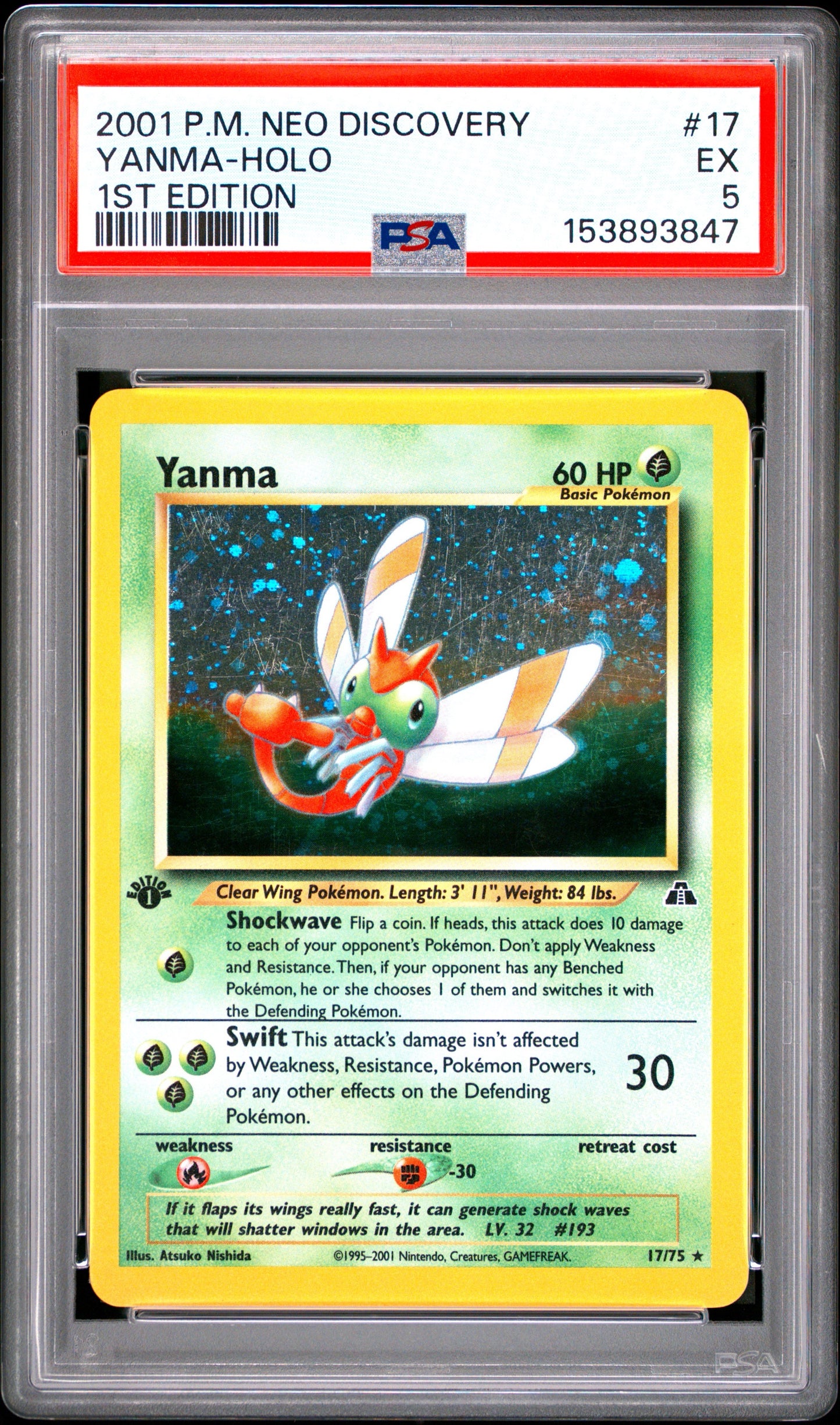 ND Yanm Holo 5 (153893847)