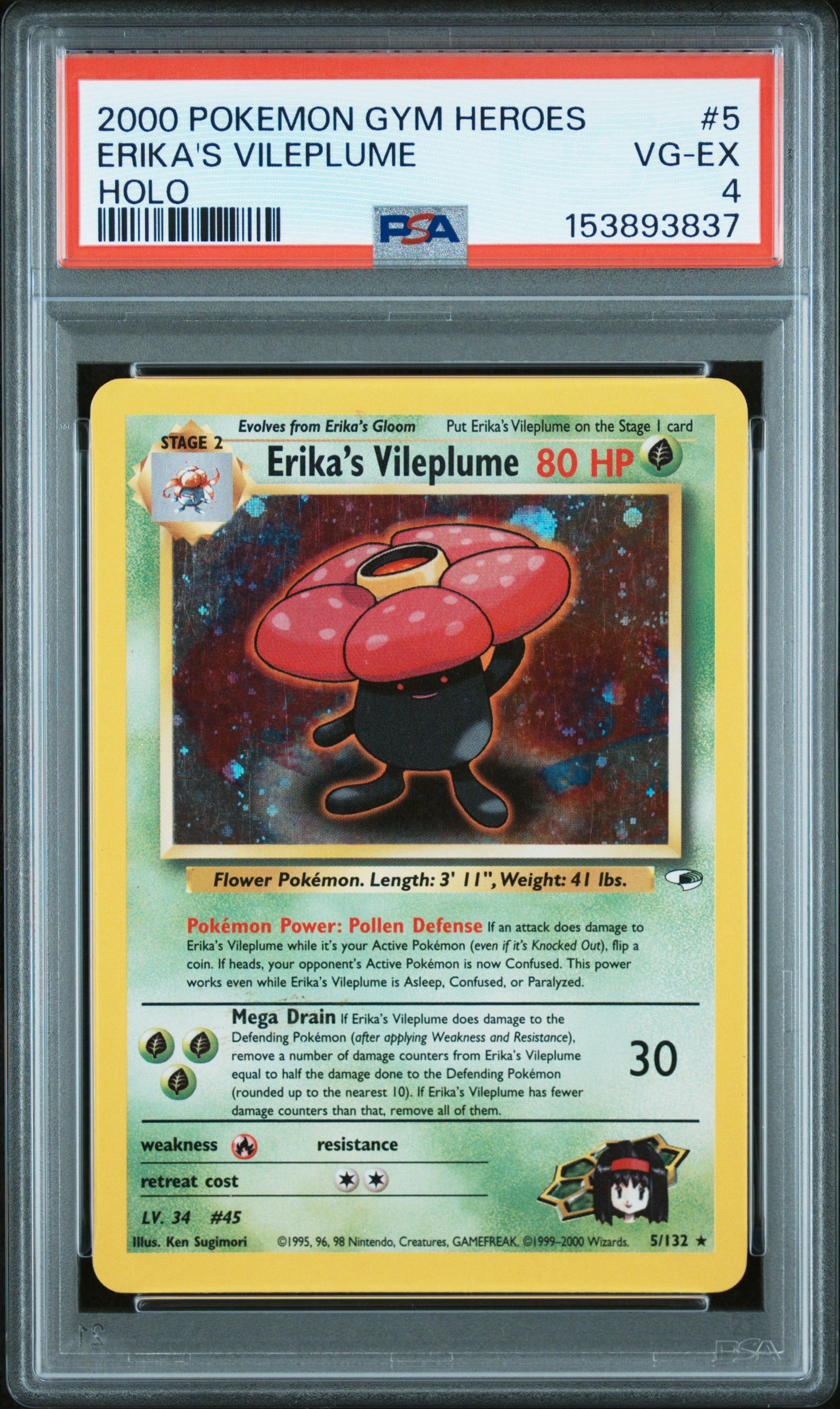 GH Erika’s Vilep 4 (153893837)