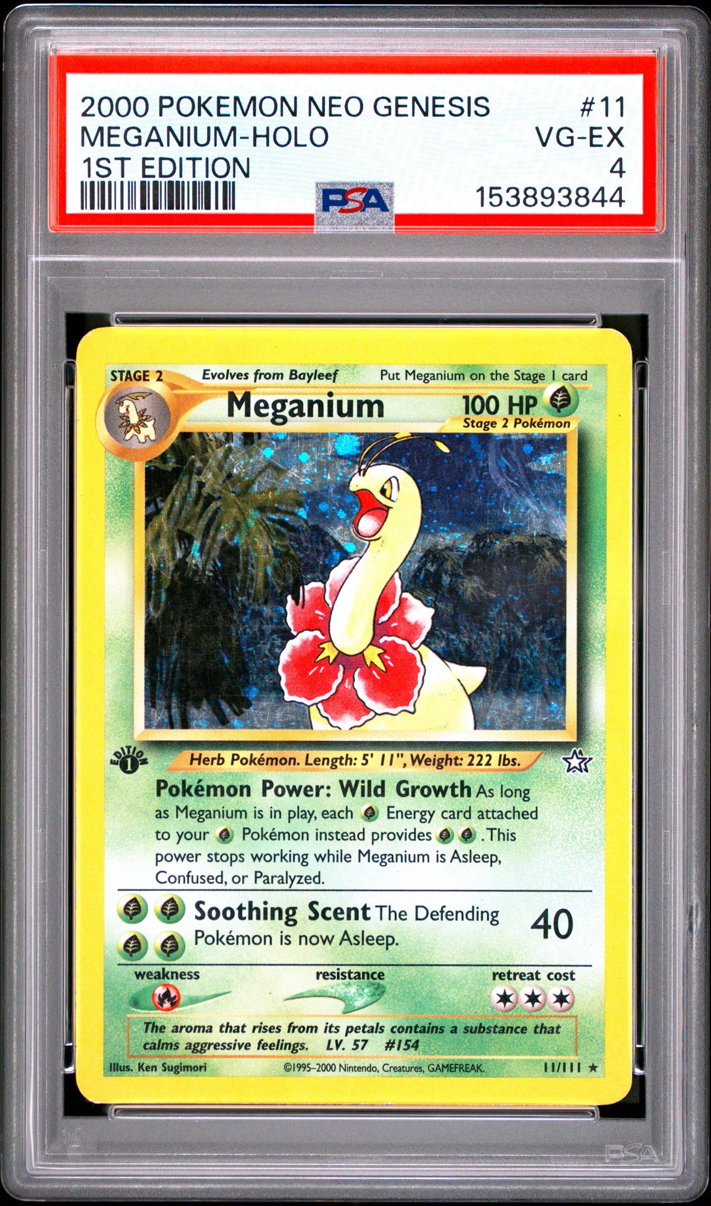 NG Megani 4 (153893844)