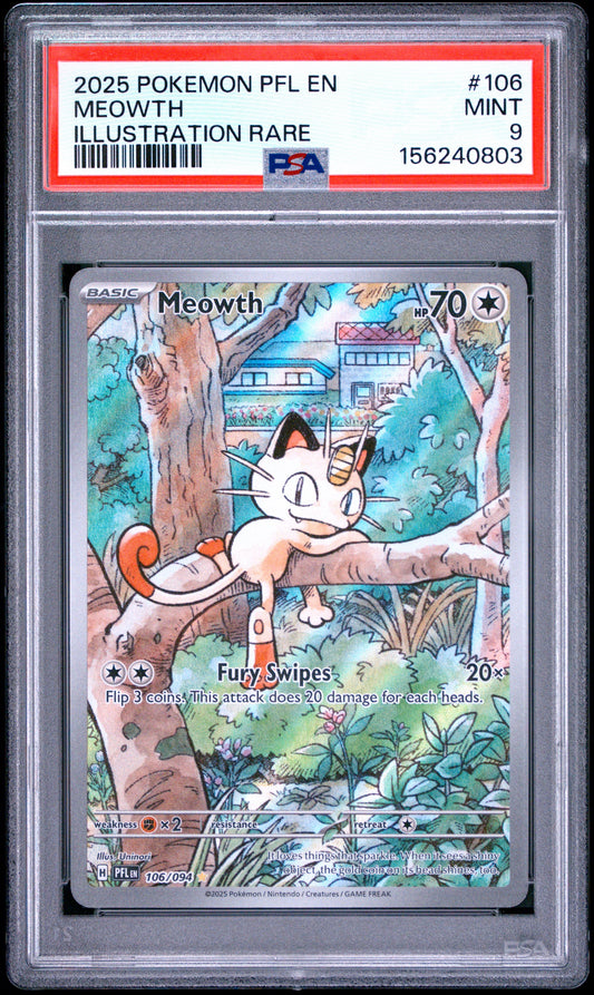 PFL Meow 9 (156240803)