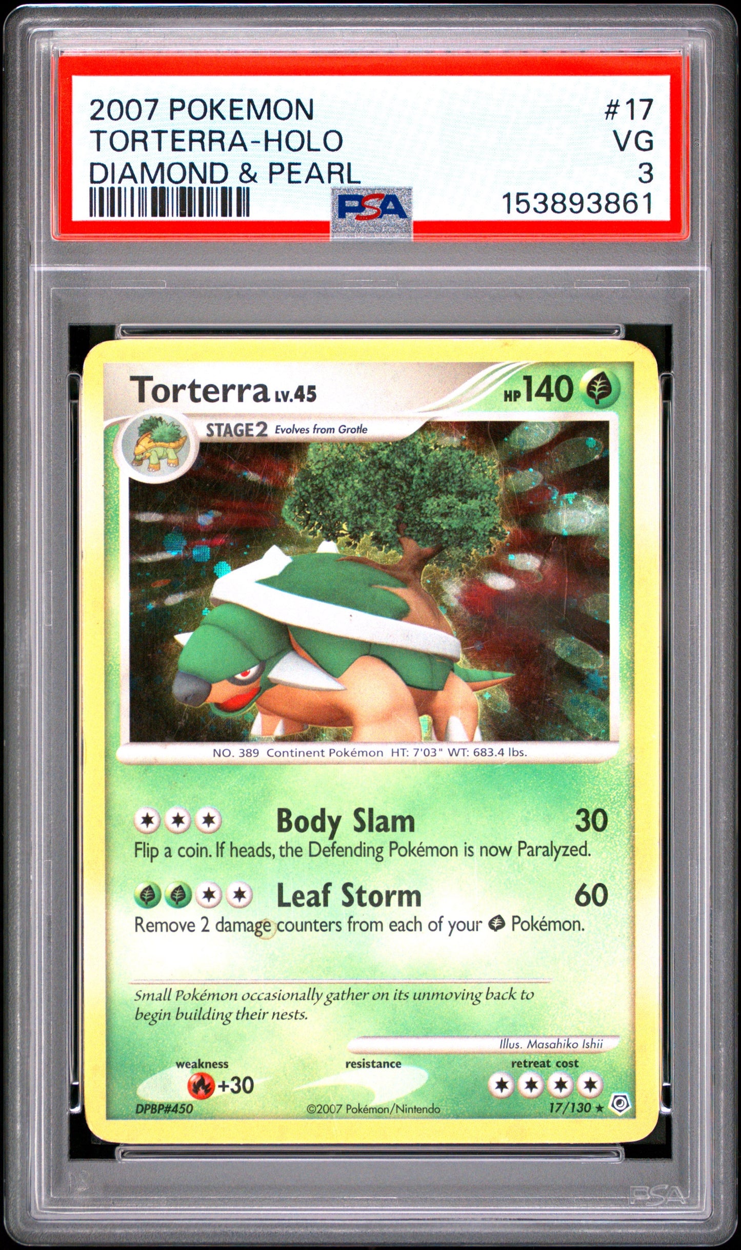 D&P Torter Holo 3(153893861)