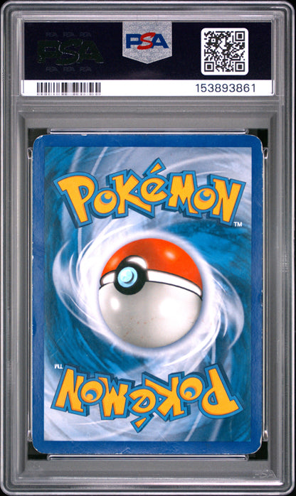 D&P Torter Holo 3(153893861)