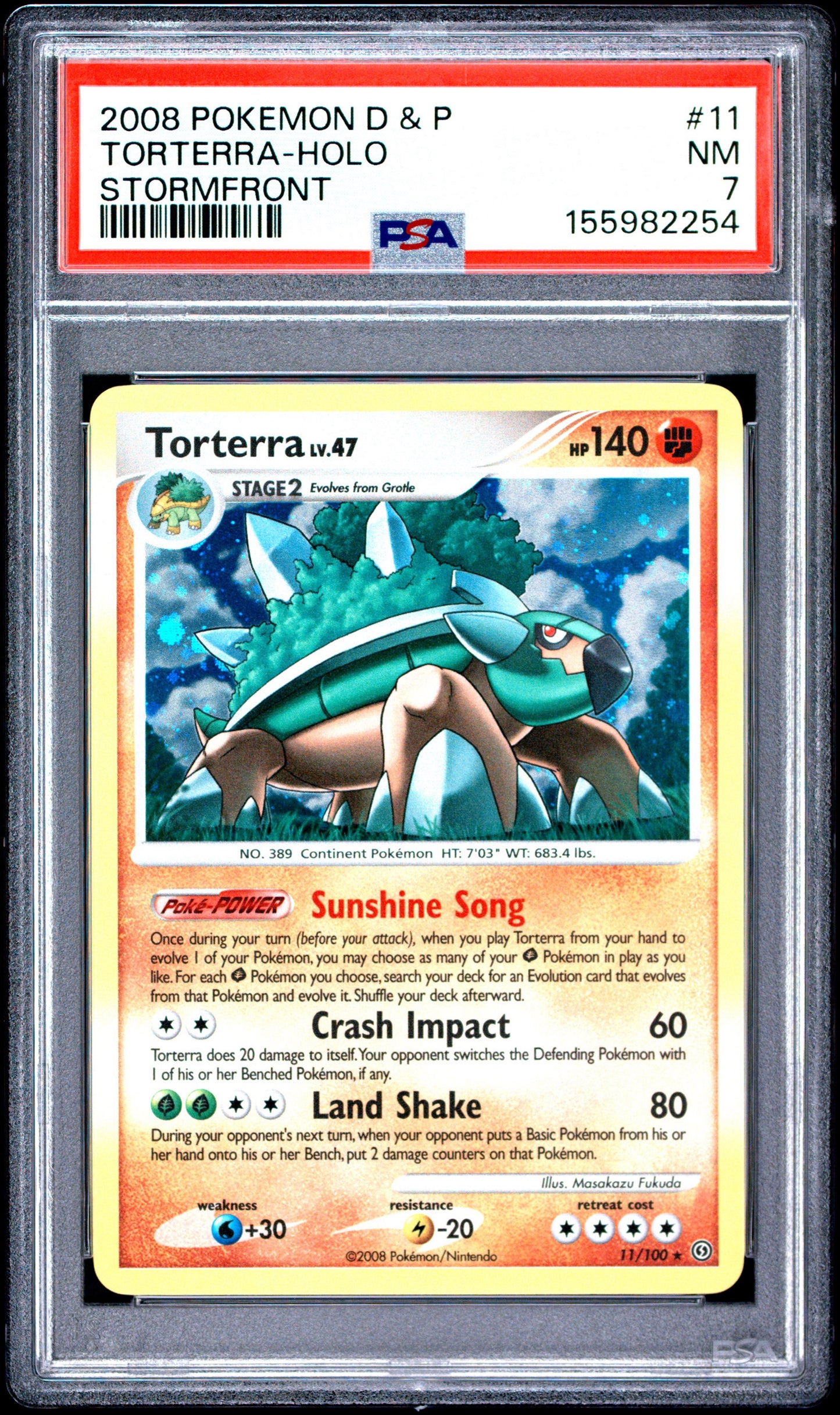 D&P Torter Holo 7 (155982254)