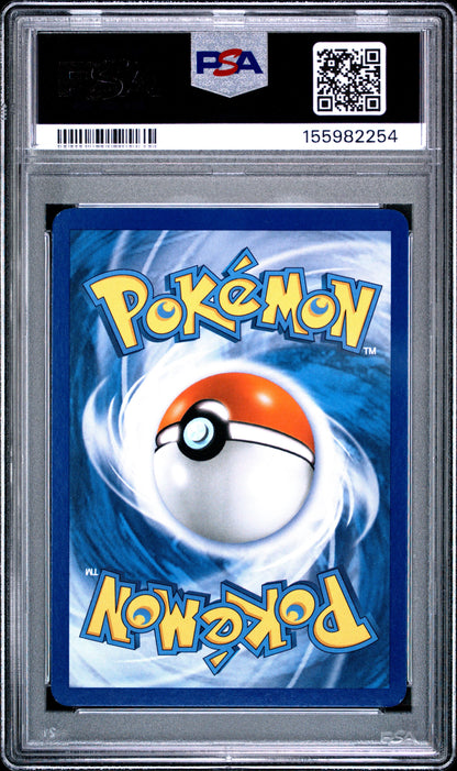D&P Torter Holo 7 (155982254)