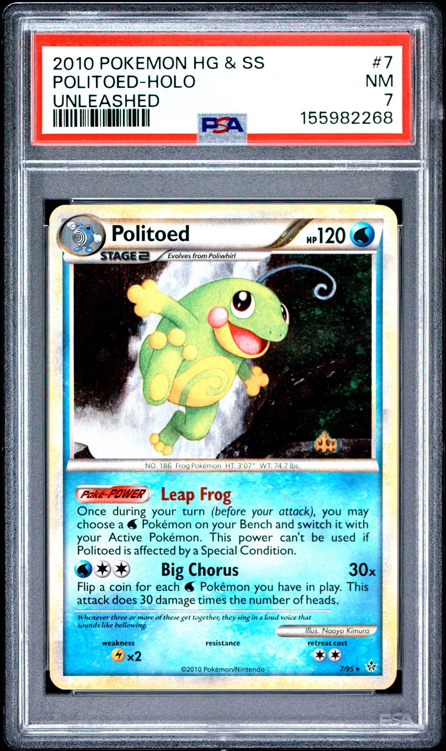 Un. Poli Holo 7 (155982268)