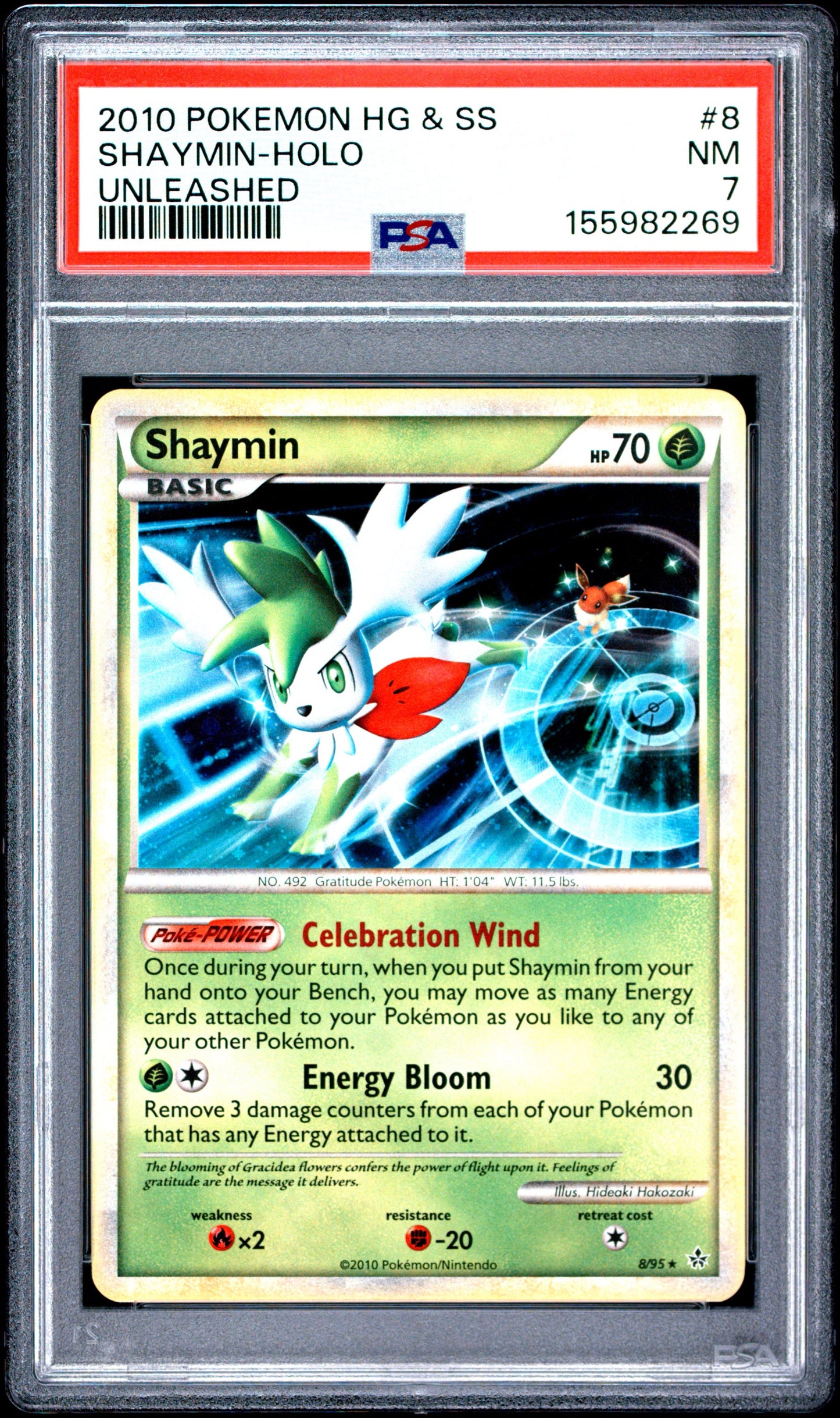 Un. Shay Holo 7 (155982269)