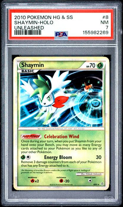 Un. Shay Holo 7 (155982269)