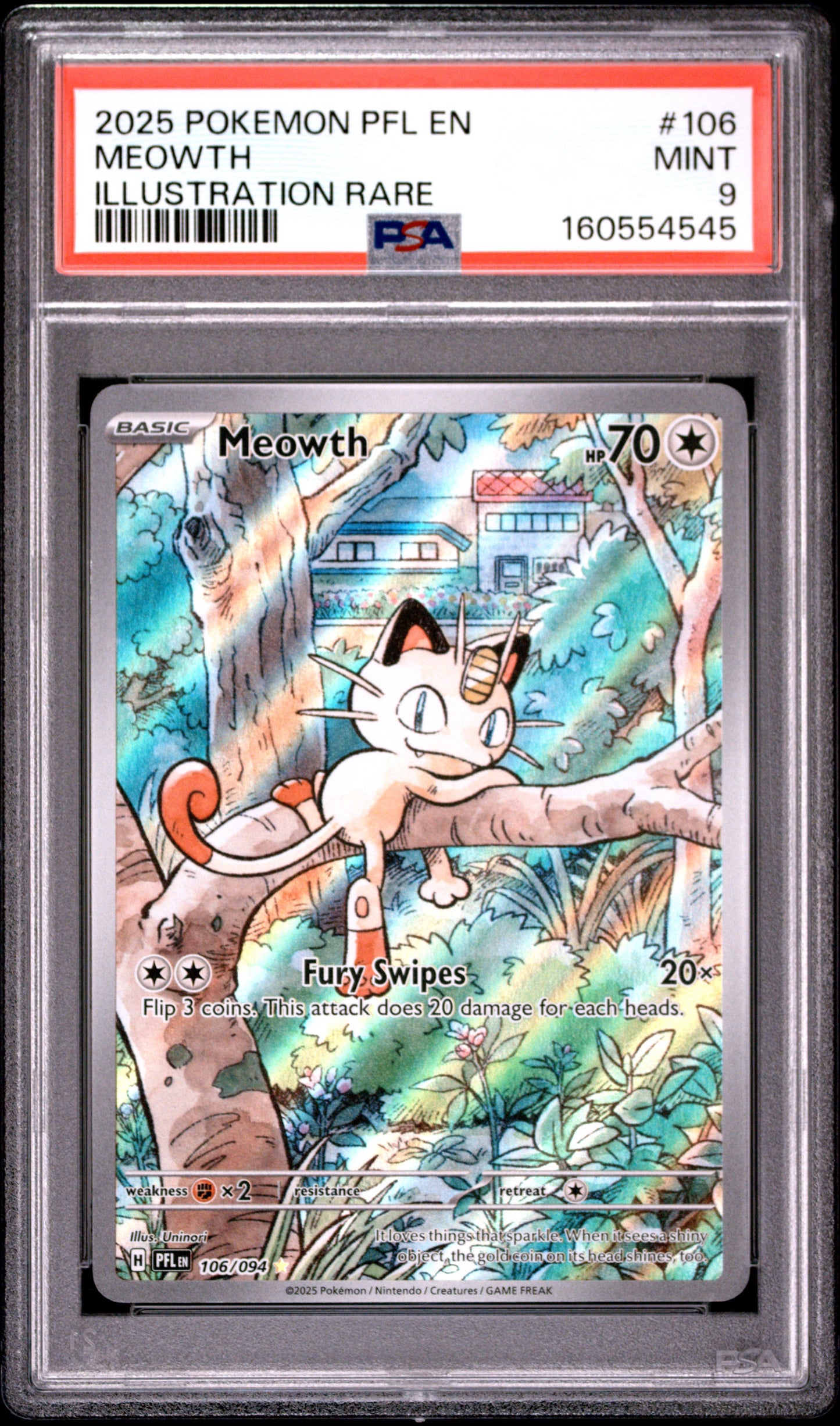 PFL Meow 9 (160554545)