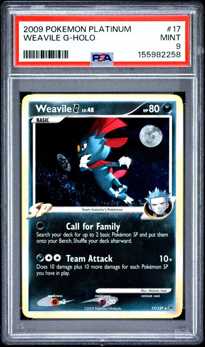 Plat. Weav Holo 9 (155982258)