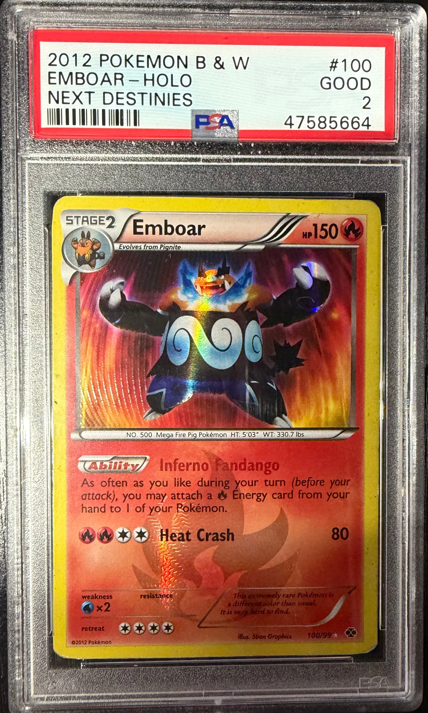 ND Embo Holo 2 (47585664)