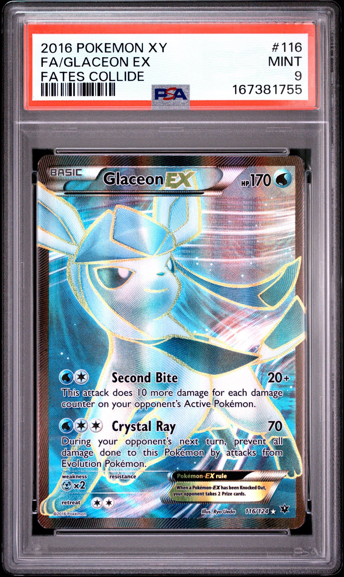 FC Glace 9 (167381755)