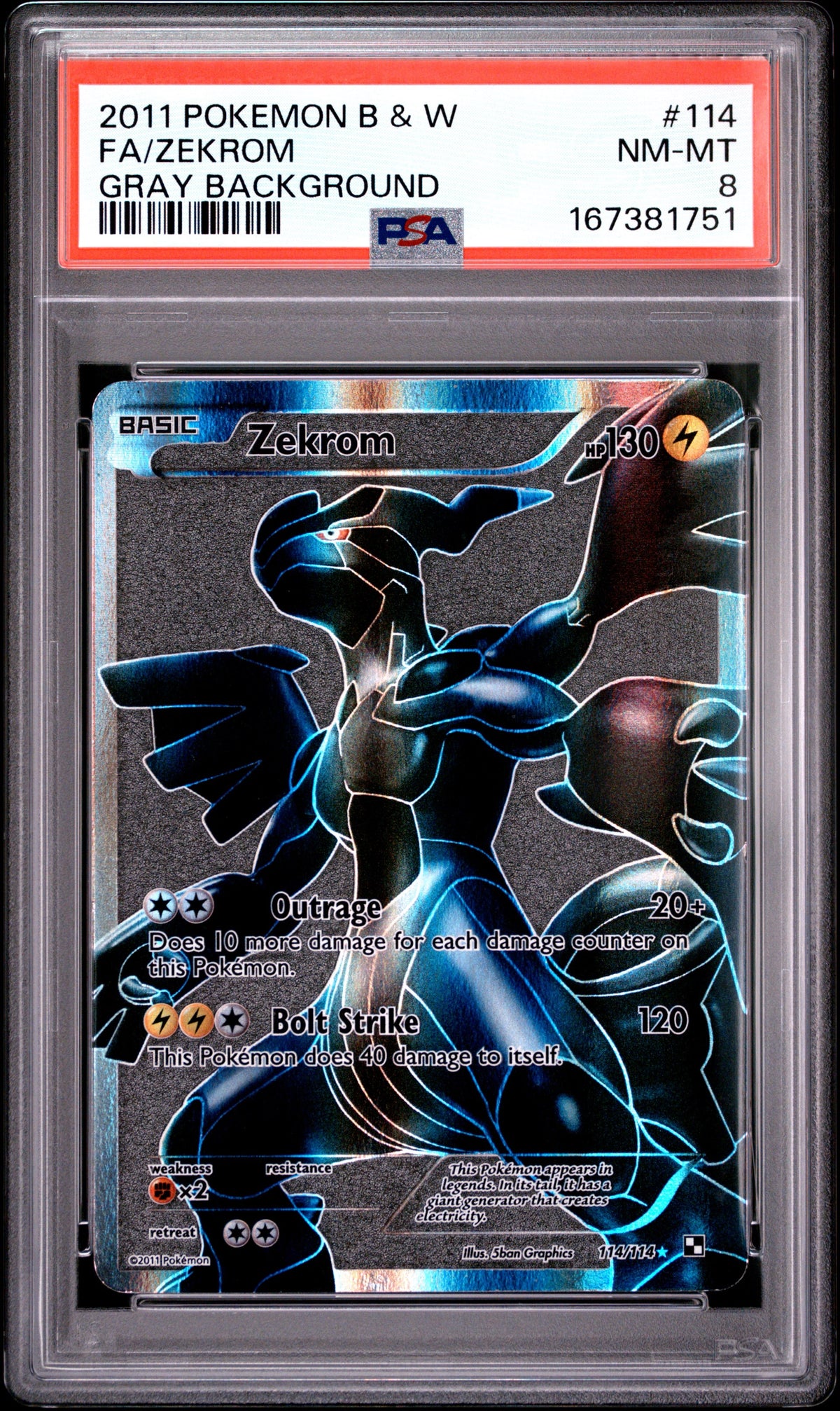 Gray Back Zek 8 (167381751)