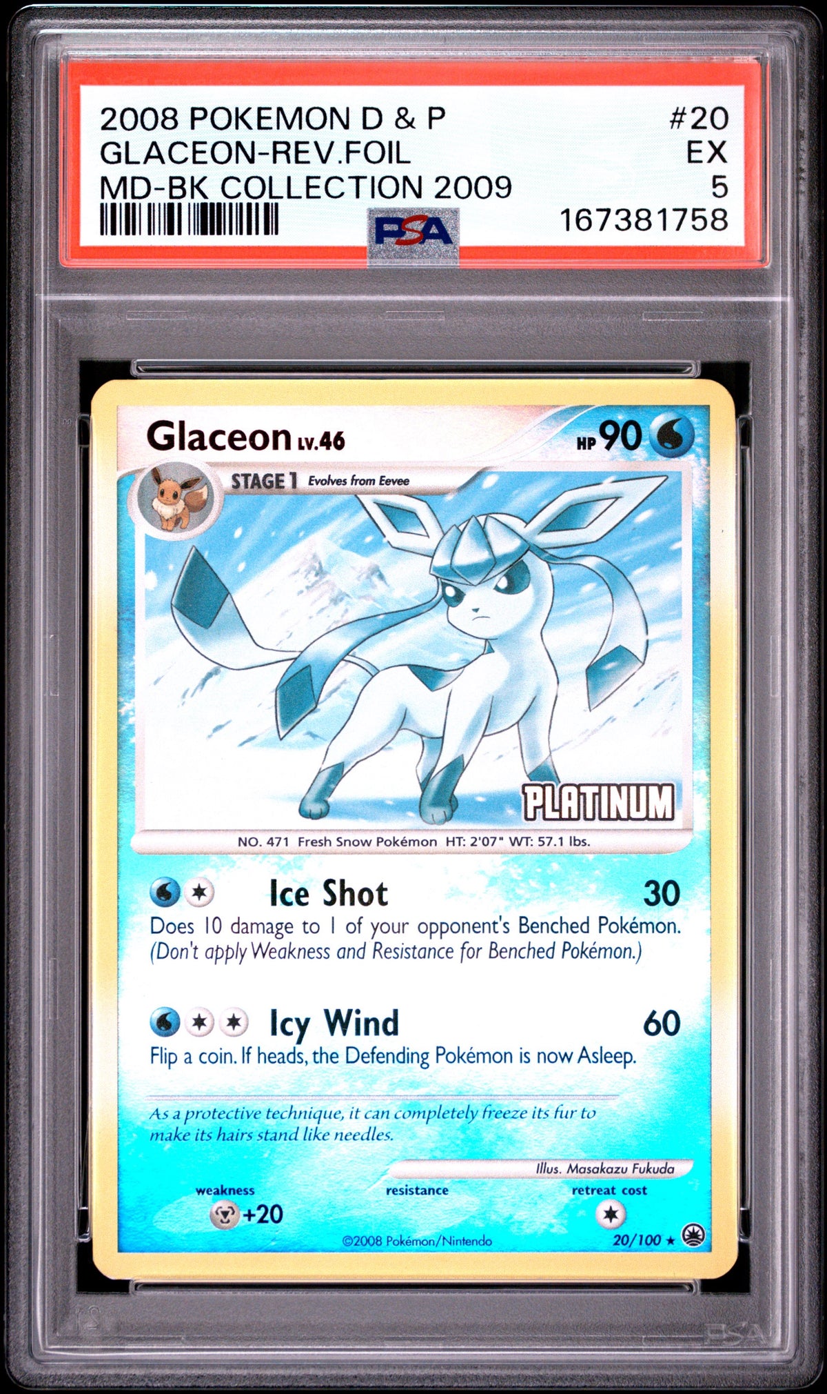 D&P Glace 5 (167381758)